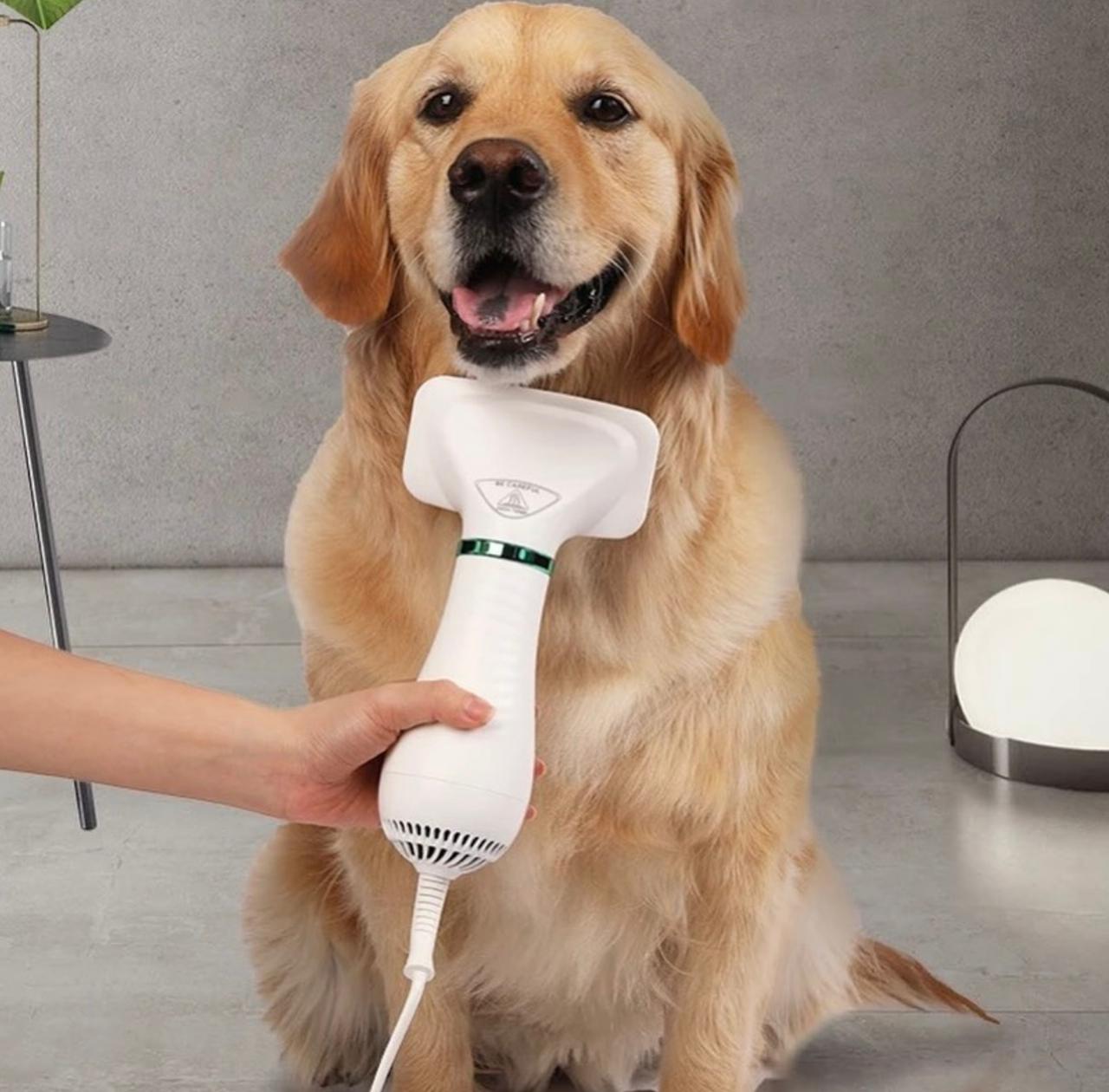 Cepillo eléctrico y secador de pelo para mascota